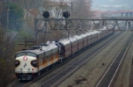 NS 955 "Kentucky Derby" Special